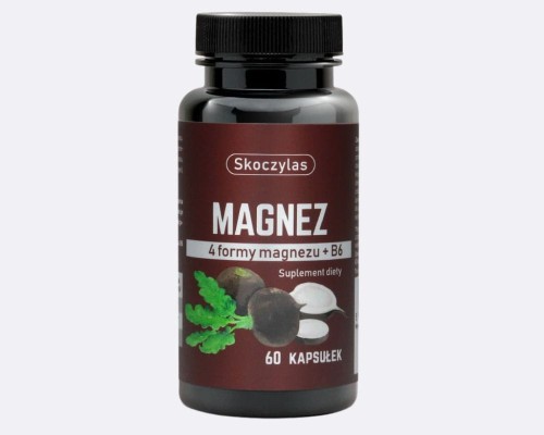 Skoczylas Magnez 60 kaps.