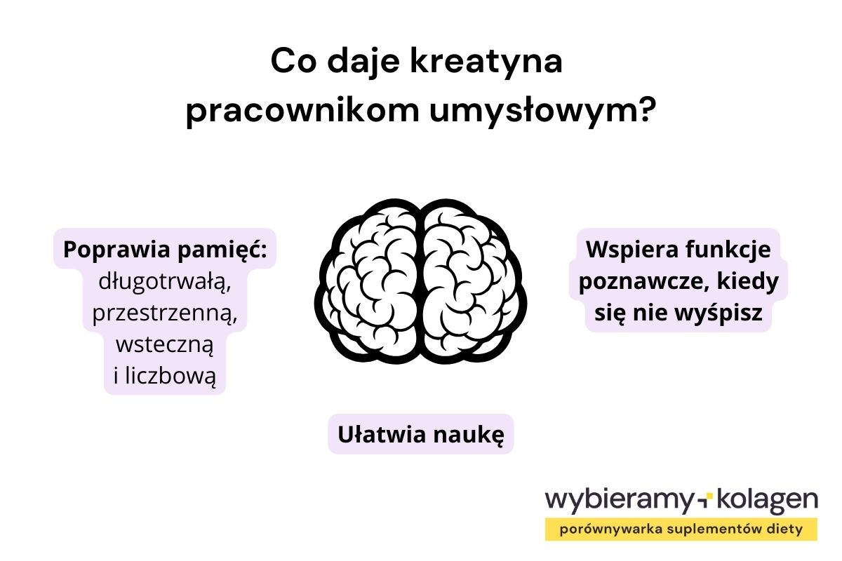 Infografika przedstawia, co daje kreatyna pracownikom umysłowym