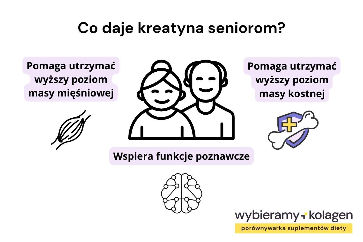 Infografika przedstawia, co daje kreatyna seniorom