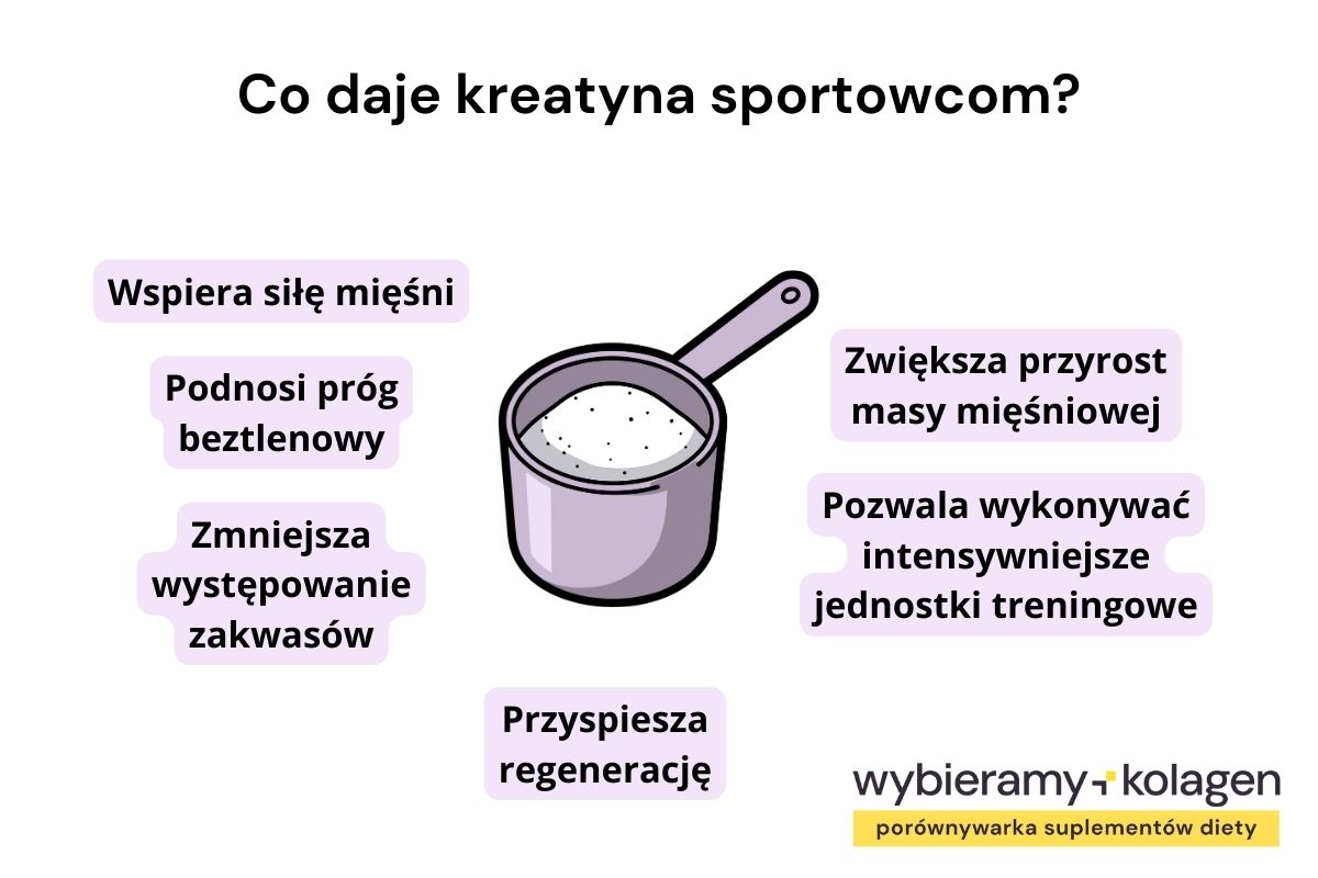 Infografika przedstawia, co daje kreatyna sportowcom