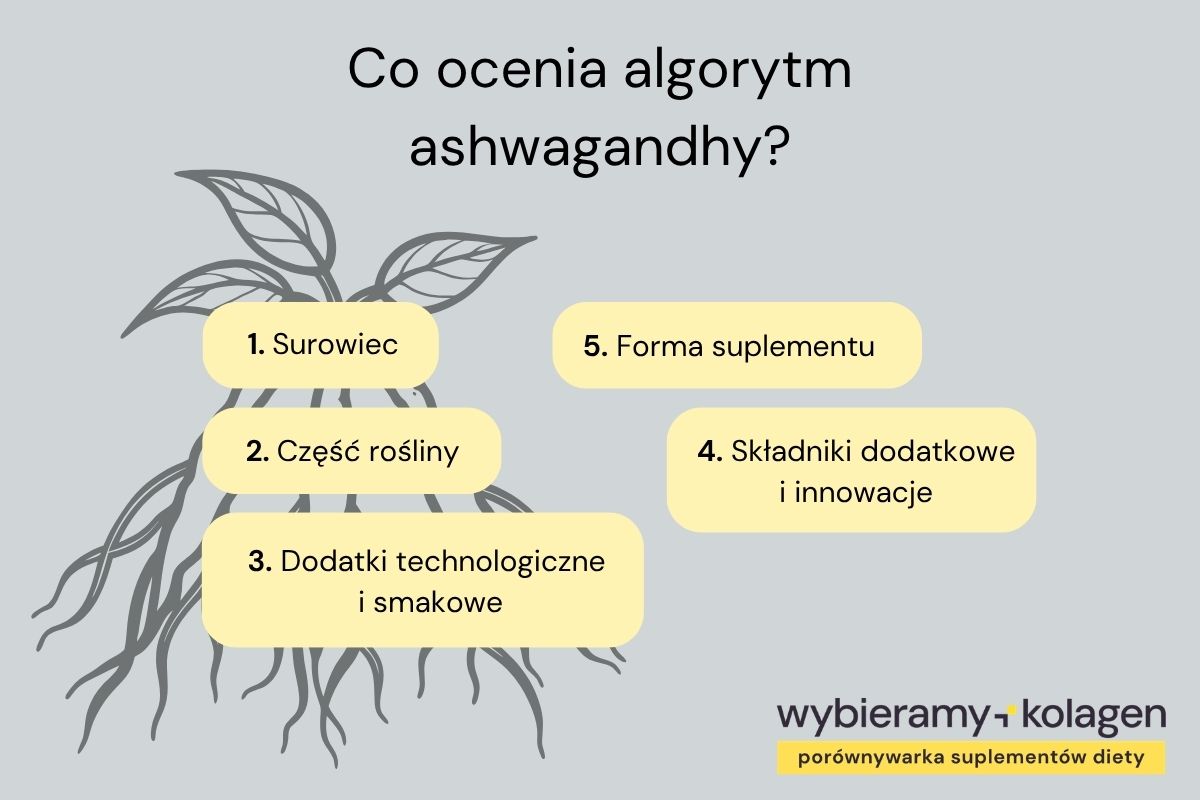 Infografika prezentuje kryteria oceny suplementów diety z ashwagandhą według Wybieramykolagen.pl