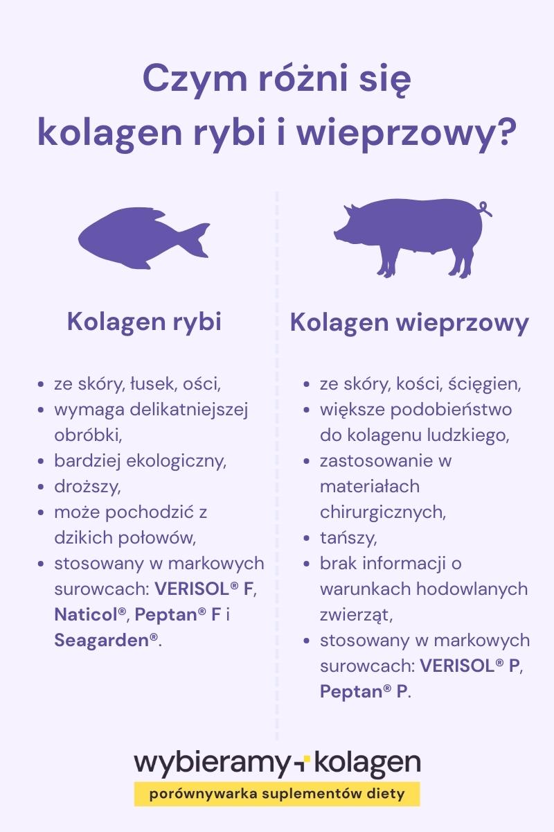 Infografika porównuje właściwości kolagenu rybiego z wieprzowym