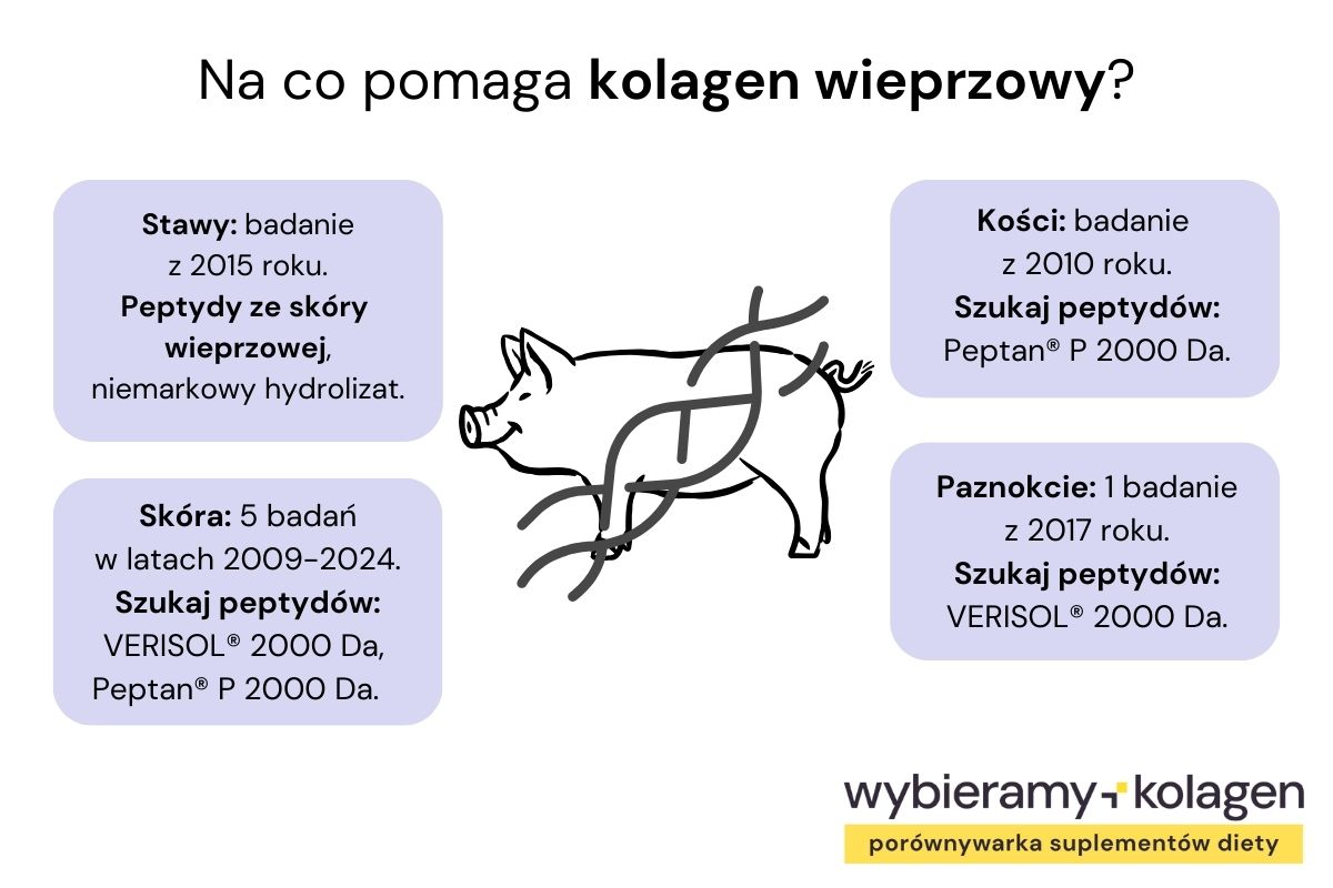 Kolagen wieprzowy według badań może pomagać na kondycję stawów, skóry, kości i paznokci