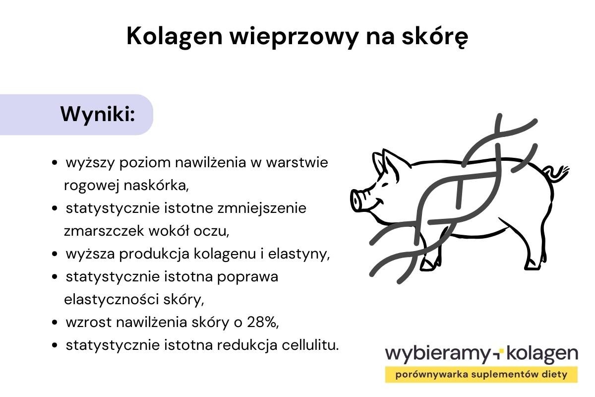 Kolagen wieprzowy pomaga nawilżyć skórę, redukuje zmarszczki, wspiera produkcję kolagenu i elastyny