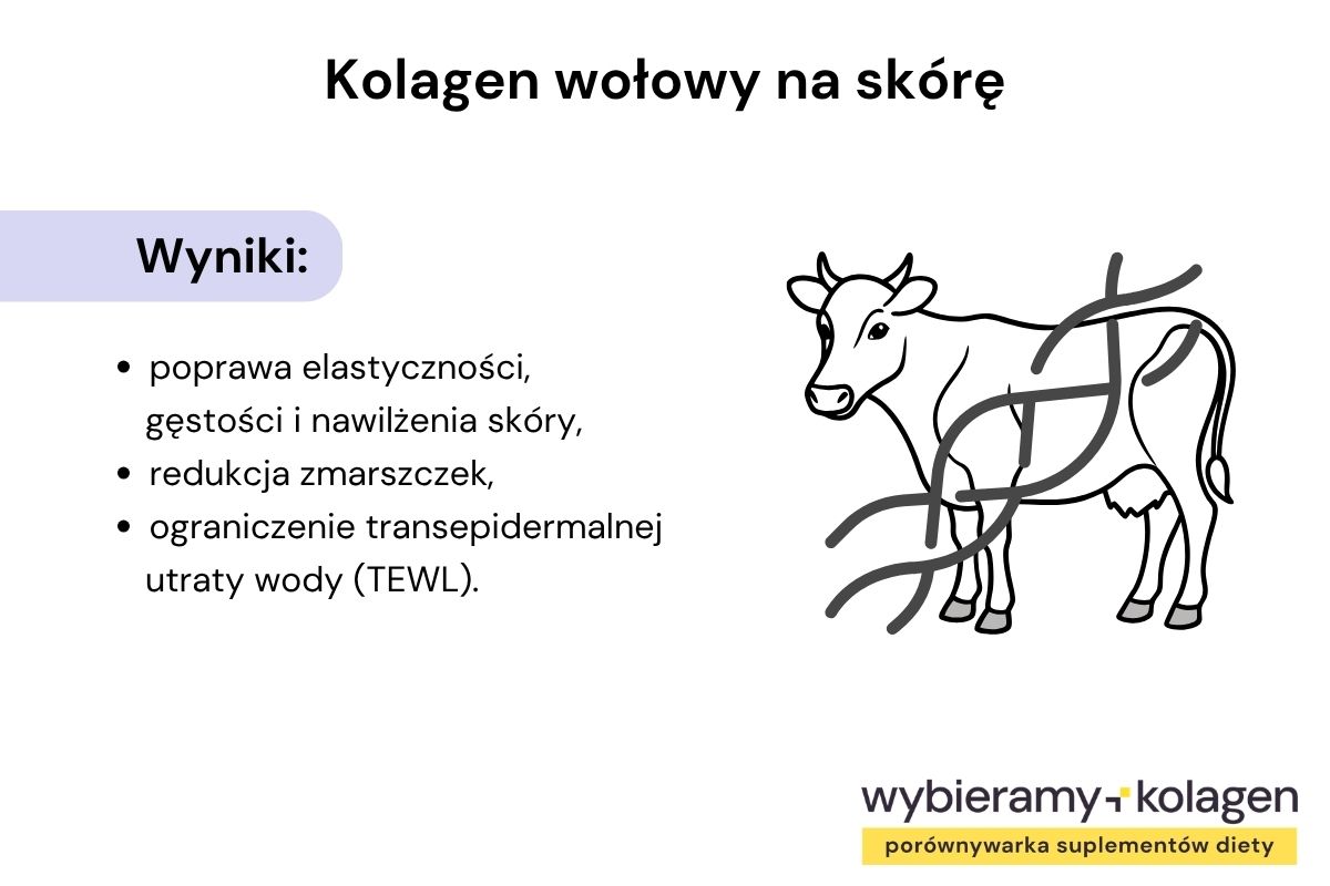 Infografika pokazuje, jak kolagen wołowy wpływa na skórę