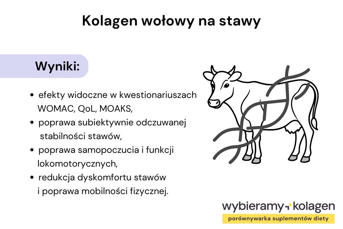 Infografika podaje, jak kolagen wołowy pomaga na stawy