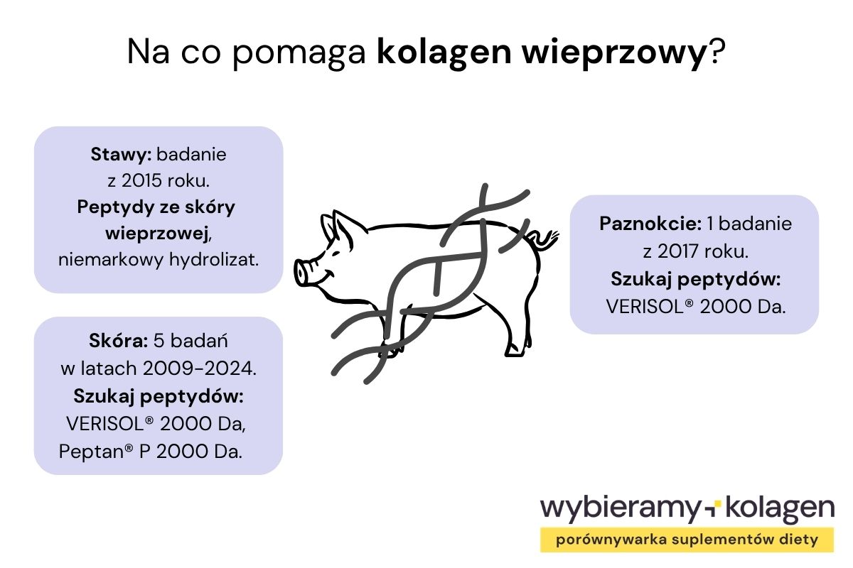 Kolagen wieprzowy według badań może pomagać na kondycję stawów, skóry i paznokci