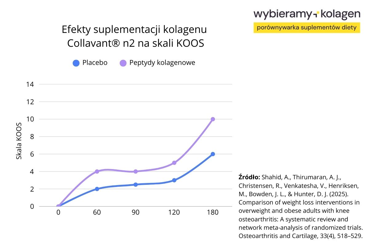 Efekty suplementacji kolagenu Collavant® n2 na skali KOOS