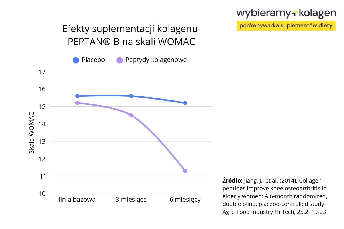 Efekty suplementacji kolagenu PEPTAN® B na skali WOMAC