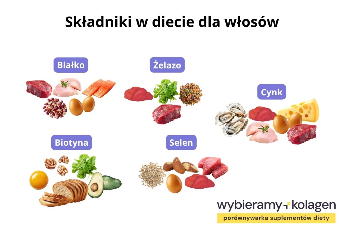 Infografika prezentuje składniki w diecie dla włosów, m.in. białko, cynk, biotynę