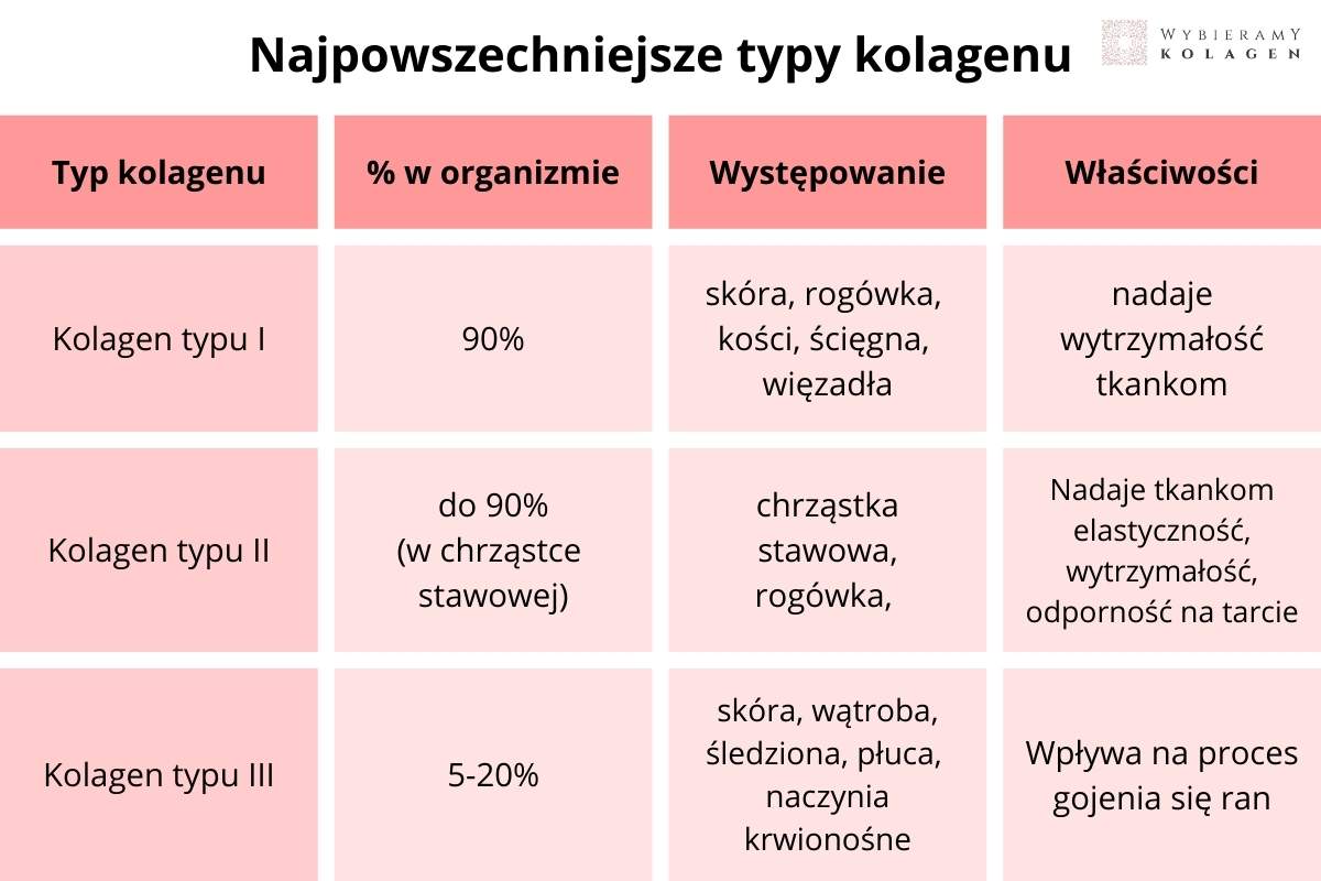 Typ Kolagen typu 1, 2, 3 i inne - Typy kolagenu na stawy i skórę